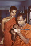 Budists Sri Lanka